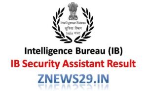 IB Security Assistant Result
